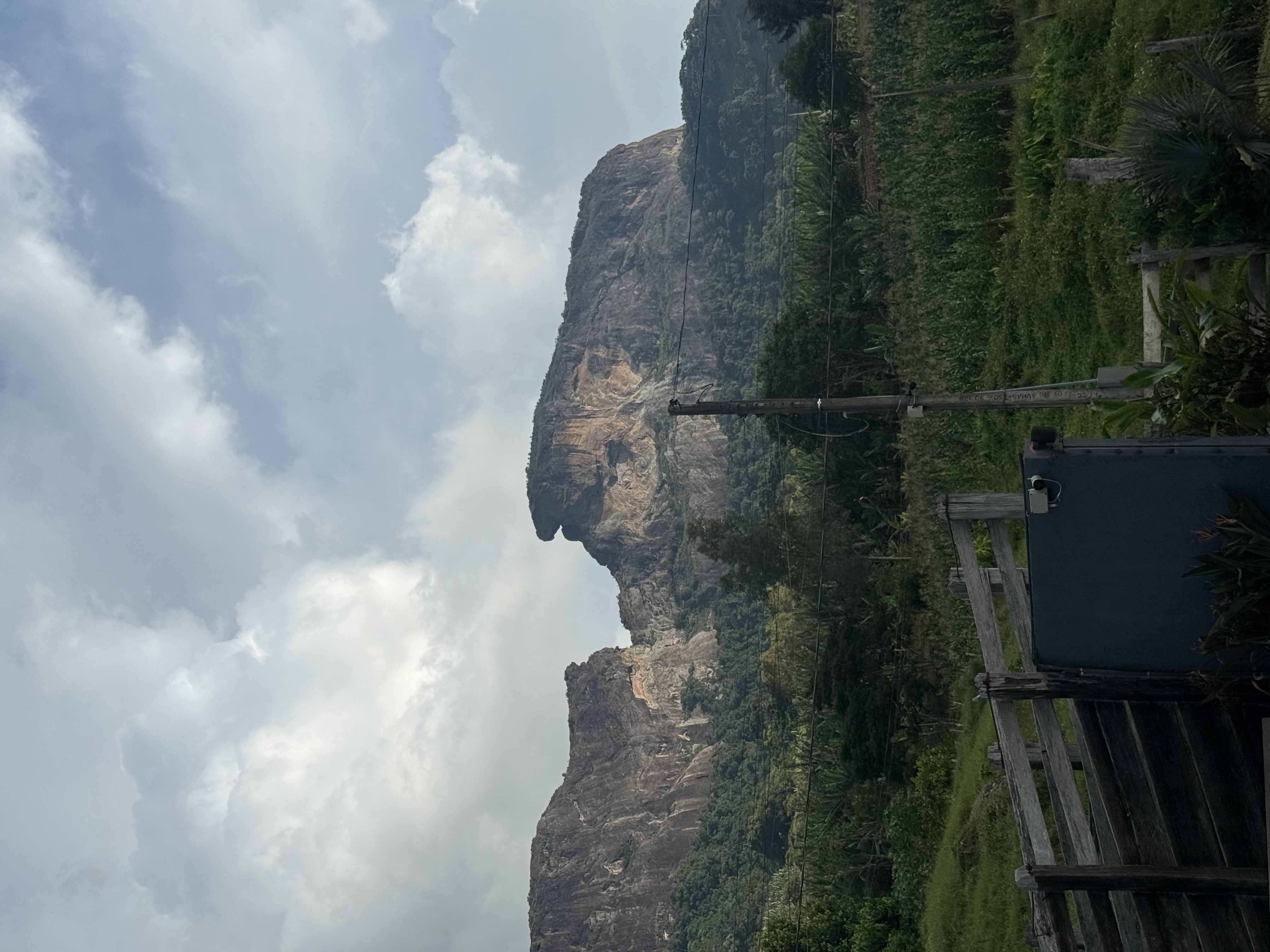 Detalhe de arranjo floral natural e mesa comunitária pronta para o jantar